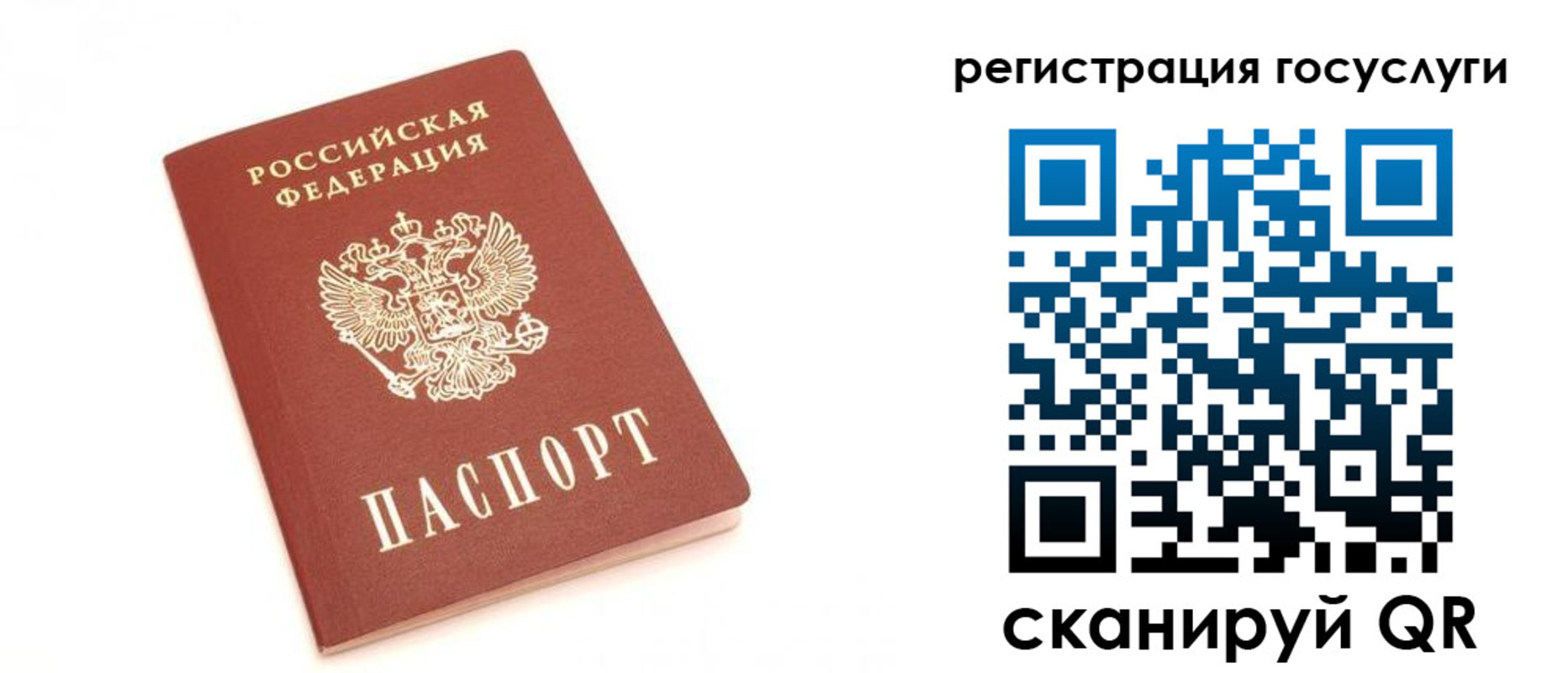 прописка для школы в Лосино-Петровском